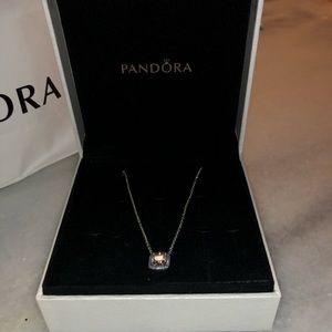 NEW WITH RECIPT NEVER WORN pandora necklace